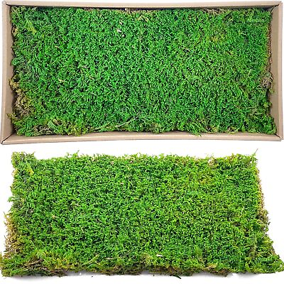 #ad 2pcs 7.1’*14.2’ Artificial Dried Sheet Moss Fake Moss Preserved Green Moss Ma... $24.04
