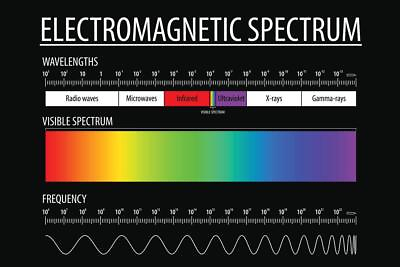 #ad Electromagnetic Spectrum and Visible Light Educational Reference Poster 54x36 $29.98