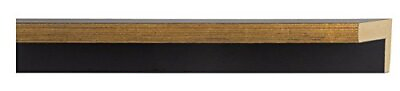#ad Canvas Floater Frame Moulding Wood 18Ft Bundle Contemporary Gold Finish 1. $147.95