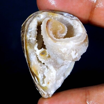 #ad 141.9Cts. 100% NATURAL Unique Fossil SNAIL DRUZY Fancy Cabochon Loose Gemstone $46.27