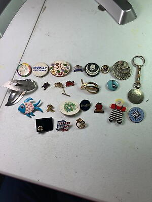 #ad 24 Pins and broaches vintage fashion jewelry FREE DOMEST SHIP Lot 16082 $19.99