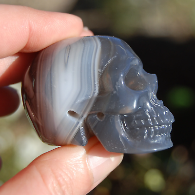 #ad 2in Grey Agate Carved Crystal Skull Realistic Gemstone Carving $59.99
