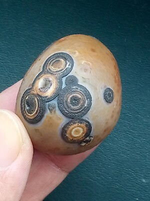 #ad 38mm Natural eye agate stone ZhanGuoHong agate Suiseki viewing collection china $127.00
