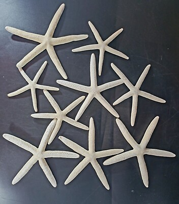 #ad 9 Shimmery Finger Star Fish STARFISH Decor Seastar 4 6quot; $12.00