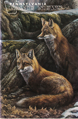 #ad Pennsylvania Game News January 1991 Red Fox Cover Painting by Laura Mark Finberg $5.00
