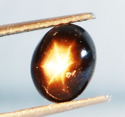 #ad 3.40 CT GOLDEN BLACK STAR SAPPHIRE NATURAL CABOCHON LOOSE GEMSTONS FASHION GIFT $48.78