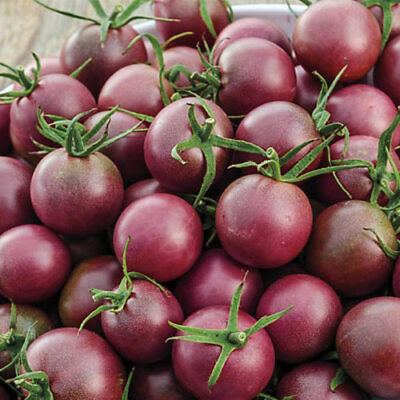 Black Cherry Tomato Seeds Non GMO Free Shipping Seed Store 1028 $26.89