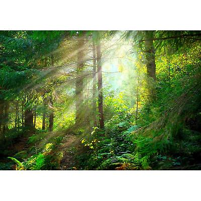 #ad 66quot;x96quot; Large Self Adhesive Misty Forest Wall Mural Wallpaper $83.99