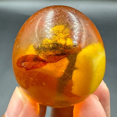 #ad Exquisite Genuine Rare Find Baltic Fossilized Bee In Egg Shaped Phenolic Amber $255.00