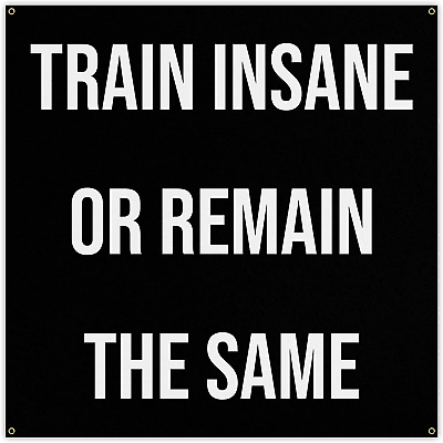 #ad Train Insane or Remain the Same Banner Home Gym Decor 20 X 20 Inches $42.50