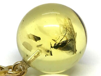 #ad Amber Pendant Gift Unique Fossil INSECT Round BALTIC AMBER Gemstone 31g 15230 $110.94