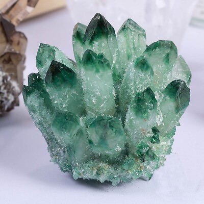 #ad New Find 310g Aura Green Phantom Cluster Titanium Geode Quartz Crystal Specimen $49.20