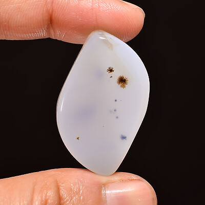 #ad Natural Dendrite Agate Fancy Shape Cabochon Gemstone 38.5 Ct 34X20X6 mm EE 23034 $3.00