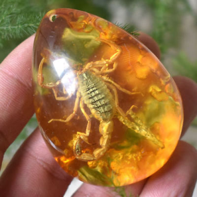 #ad Beautiful Amber Scorpion Fossil Insects Manual Polishing Lucky Ornaments Gift $6.54