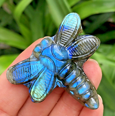#ad 1.5quot; Natural Labradorite Hand Carved Dragonfly Crystal Reiki Healing 1pc $13.99