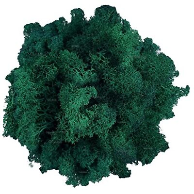 #ad Moss Preserved Artificial Moss Natural Fresh Green Moss for 3.5oz Darkgreen $20.51