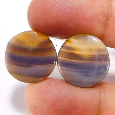 #ad #ad Wholesale 16.70Cts. Natural Amazing Montana Agate Pair Round Cabochon Gemstone $7.59