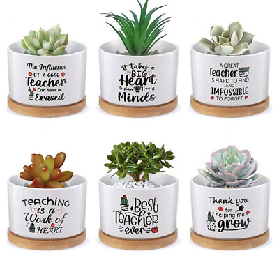 #ad 6 Pcs Teacher Appreciation Gifts Best Teacher Ever Gift Funny Cute Succulent Pot $25.99