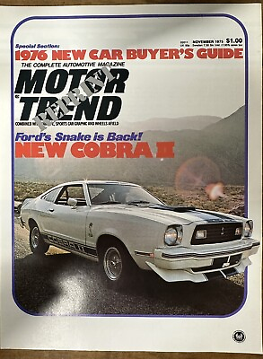 #ad 1976 Ford Mustang Cobra II Dealer Fold Out brochure 4pg literature New Old Stock $9.95