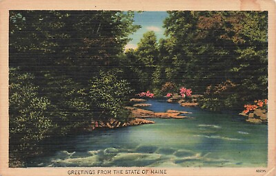 #ad Postcard River Forest Maine $4.75
