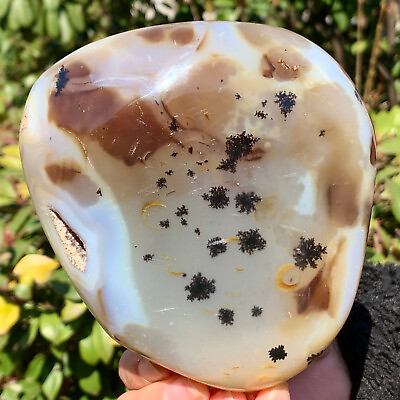 #ad 2.37LB Beautiful natural agate tree snow crystal polished specimens Museum level $257.60