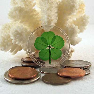 #ad Genuine Rare 5 Leaf Clover Good Luck Charm Floating in a Pocket Token CH 5L $19.95