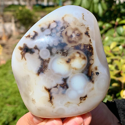 #ad 306G Beautiful natural agate tree snow crystal polished specimens Museum level $110.20