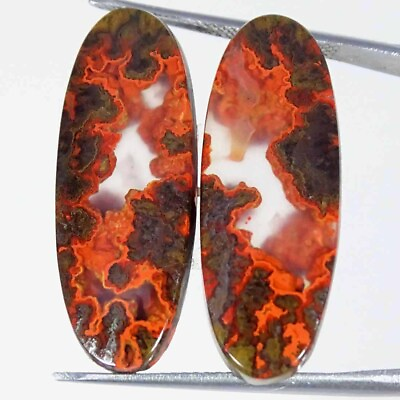 #ad 22.10Cts Natural Morocco Seam Agate Cabochon Pair Oval Loose Gemstones $8.99
