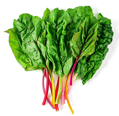#ad 100 Rainbow Swiss Chard Non GMO Heirloom Vegetable Seeds Garden or Microgreens $2.39