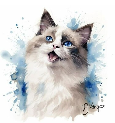 #ad Watercolor Ragdoll Cat Art Print 8x11 inch $15.99