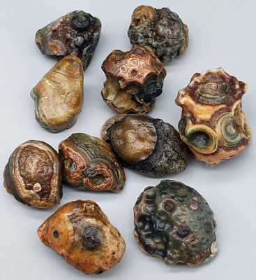 #ad 100% Natural Mongolia Gobi Eye Rough Agate Stone Collection Specimen $39.99