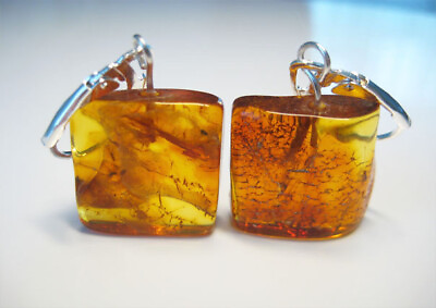 #ad Massive Cognac amber Baltic AMBER Natural Earring 5 gr. $12.99