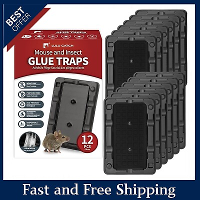 #ad Mouse amp; Insect Traps 12 Pack Heavier Sticky Traps with Non Toxic Glue for Small $14.85