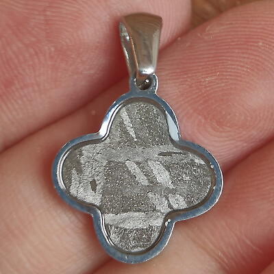 #ad Aletai iron meteorite material thin slice Flower shape Necklace pendant $12.99