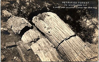 #ad c1920 CALISTOGA CALIFORNIA PETRIFIED FOREST PHOTO RPPC POSTCARD 41 276 $26.39