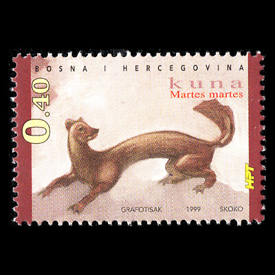 #ad Bosnia 1999 Pine Marten Wild Animals Sc 49 MNH $1.00