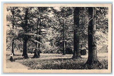#ad New Lexington Ohio OH RPPC Photo Postcard Grove St. Aloysius Academy c1910s $29.95