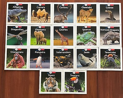 #ad Wild Animal Books *Build Your Own*BRAND NEW** Science Homeschool Zoo $3.50