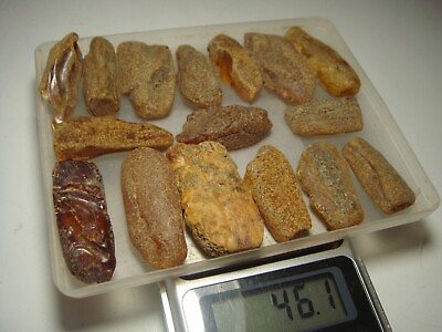 #ad AMBER raw baltic stones bernstein natural bursztyn baltycki genuine 琥珀 e675 $14.90