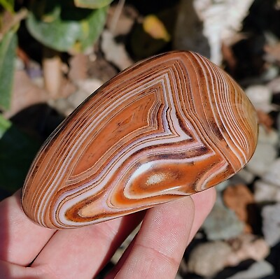 #ad MADAGASCAR DISPLAY AGATE 11.4oz OUTSTANDING WHITE BANDED ONYX SHOW AGATE✨ $144.00