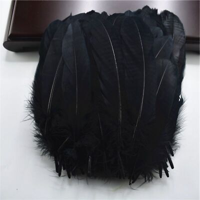 #ad 100pcs Dyed Goose Feathers Multicolor Feather Plumes DIY Clothing Decorations $8.20