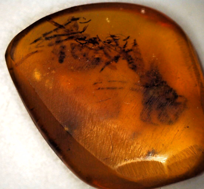 #ad Burmese amber @ 0.5 to 1.5 grams with vegetable and or animal inlays $13.02