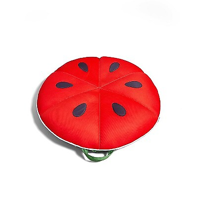 #ad Big Joe 36quot; Watermelon Float $24.99
