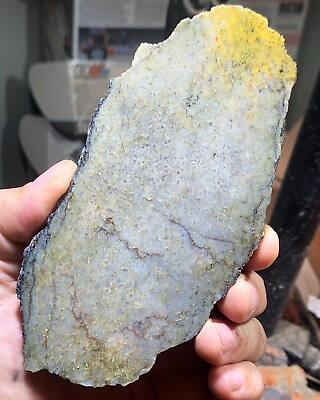 #ad Agatized Utah Dinosaur gem bone rough **hxtled slab. $41.79