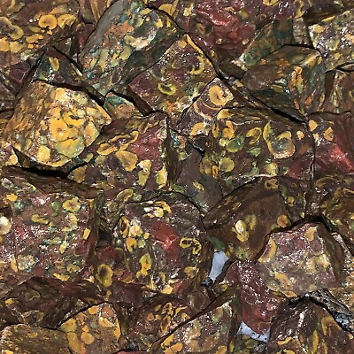 #ad 1000 Carat Lots of Leopard Jasper Rough a FREE faceted Gemstone Very Nice $15.89