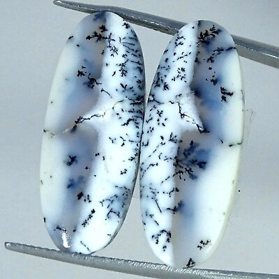 #ad 19.80 Cts Natural Dendrite Opal Loose Gemstone Oval Cabochon Pair 11X28X3MM $7.27