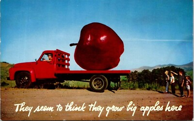 #ad Sebastopol CA Exaggerated Apple Humor Fantasy Gravenstein Truck postcard DQ5 $9.59