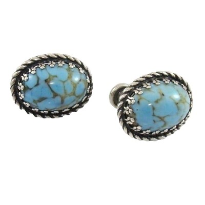 #ad Vintage Danecraft Sterling Silver Robin Egg Blue Turquoise Screw Back Earrings $29.99