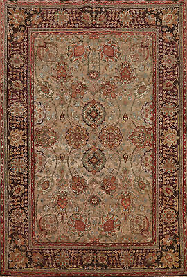 #ad Floral Brown Agra Indian Area Rug 6x9 Handmade Wool for Living Room $966.77