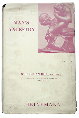 #ad Man#x27;s Ancestry A Primer Of Human Phylogeny Hill Hardcover Dust Jacket 1954 $38.95